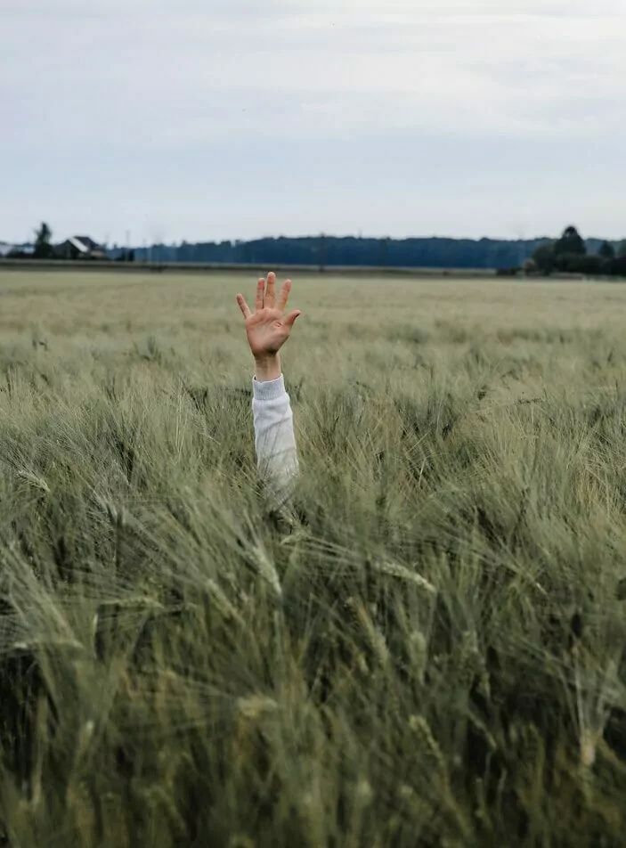 person hand on grass land