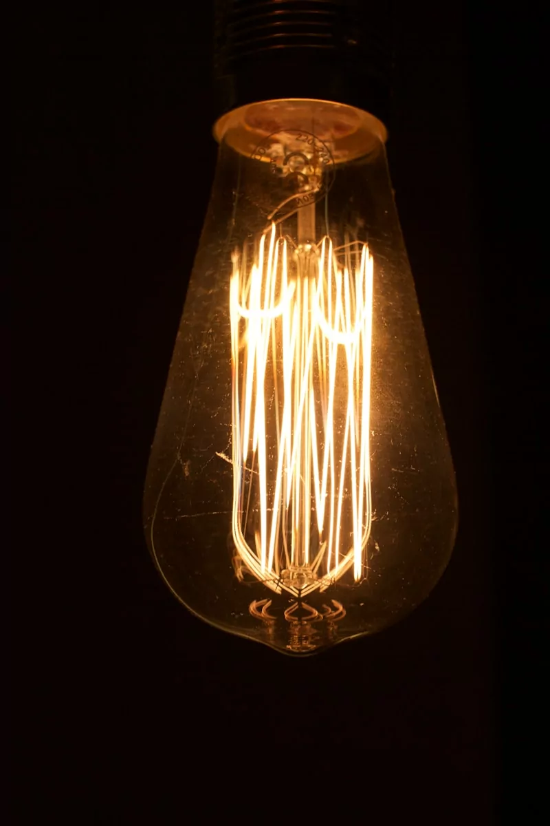 brown and white light bulb